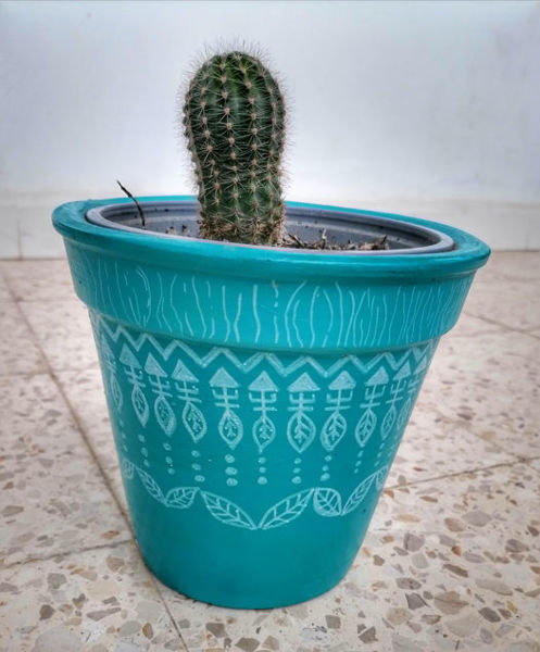 Image de Cactus 